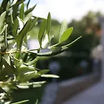 فندق Mediteran